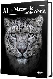 ALL THE MAMMALS OF THE WORLD | 9788416728664 | Galatea Llibres | Librería online de Reus, Tarragona | Comprar libros en catalán y castellano online