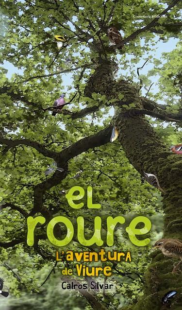 EL ROURE | 9788490340318 | SILVAR, CALROS | Galatea Llibres | Librería online de Reus, Tarragona | Comprar libros en catalán y castellano online
