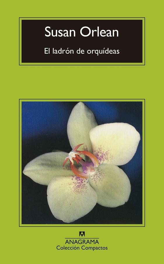 EL LADRÓN DE ORQUÍDEAS | 9788433960429 | ORLEAN, SUSAN | Galatea Llibres | Llibreria online de Reus, Tarragona | Comprar llibres en català i castellà online