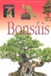 BONSAIS | 9788430567652 | Galatea Llibres | Llibreria online de Reus, Tarragona | Comprar llibres en català i castellà online