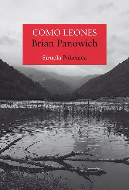 COMO LEONES | 9788418245572 | PANOWICH, BRIAN | Galatea Llibres | Llibreria online de Reus, Tarragona | Comprar llibres en català i castellà online