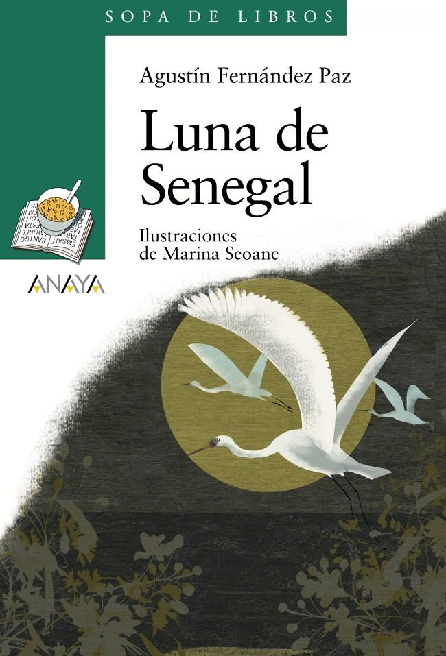 LUNA DE SENEGAL | 9788466784306 | FERNÁNDEZ PAZ, AGUSTÍN | Galatea Llibres | Llibreria online de Reus, Tarragona | Comprar llibres en català i castellà online