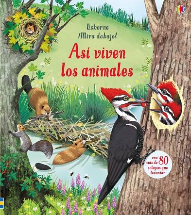 ASÍ VIVEN LOS ANIMALES ¡MIRA DEBAJO! | 9781474961356 | AA.VV. | Galatea Llibres | Llibreria online de Reus, Tarragona | Comprar llibres en català i castellà online