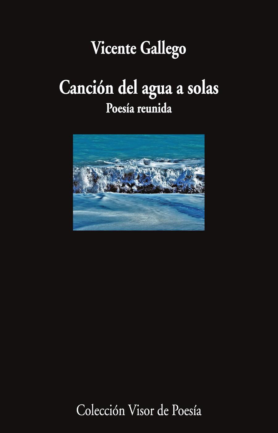 CANCIÓN DEL AGUA A SOLAS | 9791387745967 | GALLEGO, VICENTE | Galatea Llibres | Librería online de Reus, Tarragona | Comprar libros en catalán y castellano online