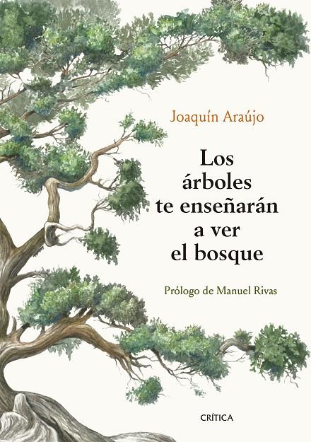 LOS ÁRBOLES TE ENSEÑARÁN A VER EL BOSQUE | 9788491992080 | ARAÚJO, JOAQUÍN | Galatea Llibres | Librería online de Reus, Tarragona | Comprar libros en catalán y castellano online