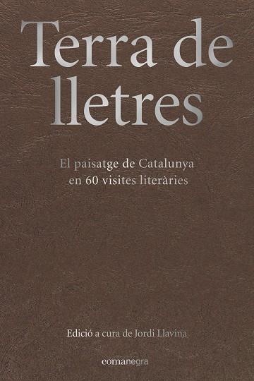 TERRA DE LLETRES | 9788417188283 | LLAVINA, JORDI (ED.) | Galatea Llibres | Librería online de Reus, Tarragona | Comprar libros en catalán y castellano online