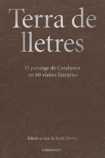 TERRA DE LLETRES | 9788417188283 | LLAVINA, JORDI (ED.) | Galatea Llibres | Llibreria online de Reus, Tarragona | Comprar llibres en català i castellà online
