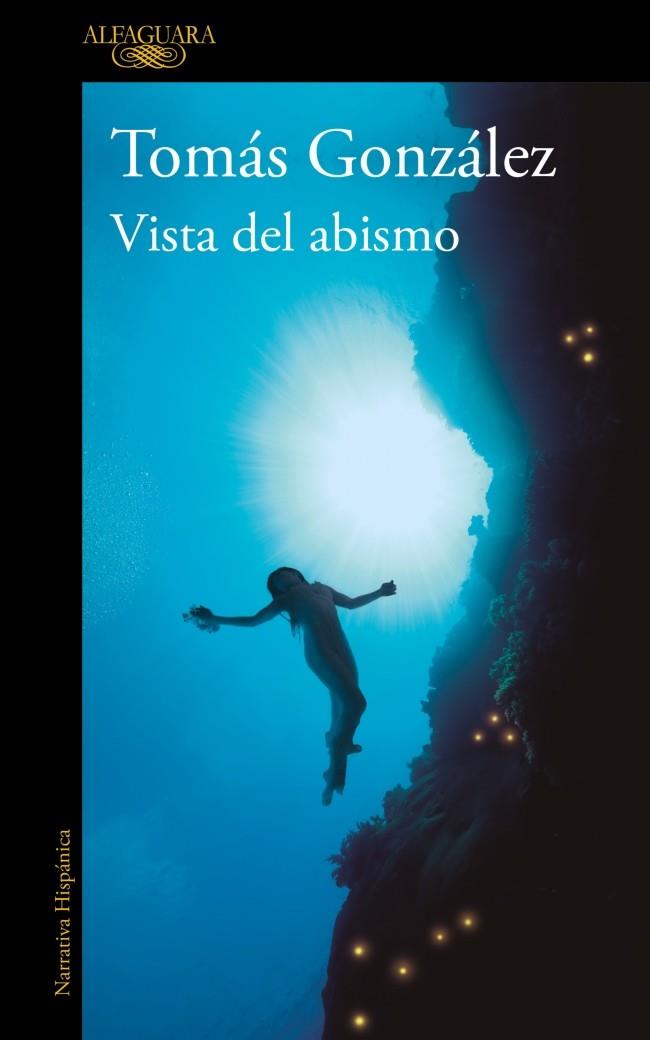 VISTA DEL ABISMO | 9788410299443 | GONZÁLEZ, TOMÁS | Galatea Llibres | Llibreria online de Reus, Tarragona | Comprar llibres en català i castellà online