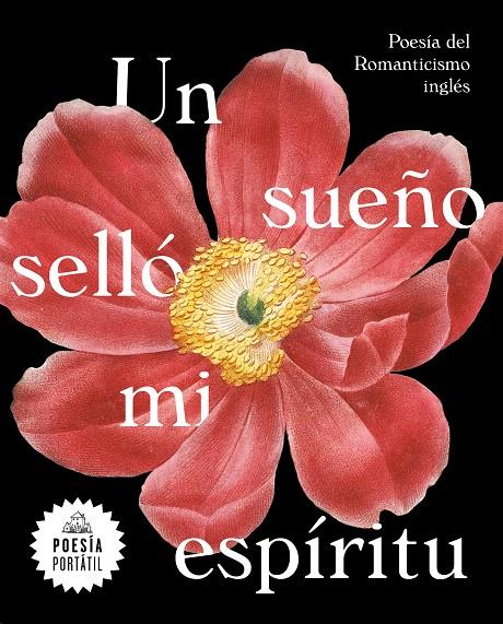 UN SUEÑO SELLÓ MI ESPÍRITU | 9788439735328 | Galatea Llibres | Llibreria online de Reus, Tarragona | Comprar llibres en català i castellà online