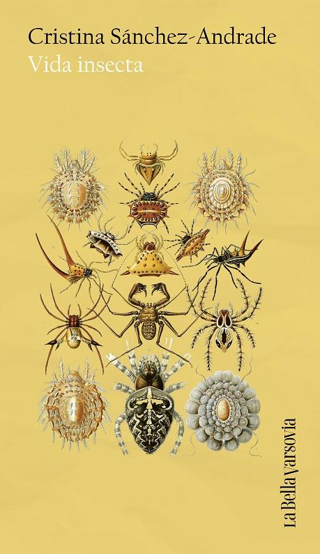 VIDA INSECTA | 9788433949653 | SÁNCHEZ-ANDRADE, CRISTINA | Galatea Llibres | Llibreria online de Reus, Tarragona | Comprar llibres en català i castellà online