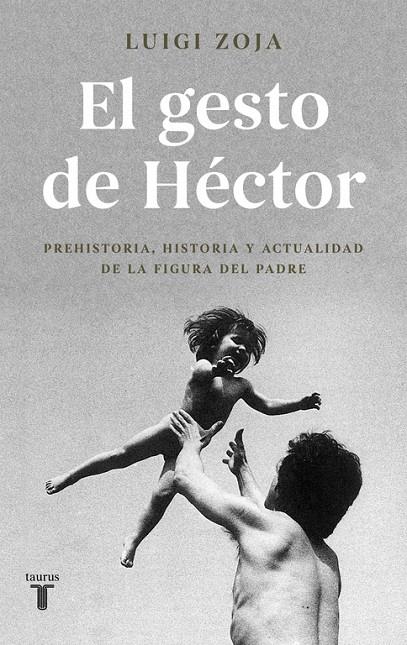 EL GESTO DE HéCTOR | 9788430619313 | ZOJA, LUIGI | Galatea Llibres | Librería online de Reus, Tarragona | Comprar libros en catalán y castellano online