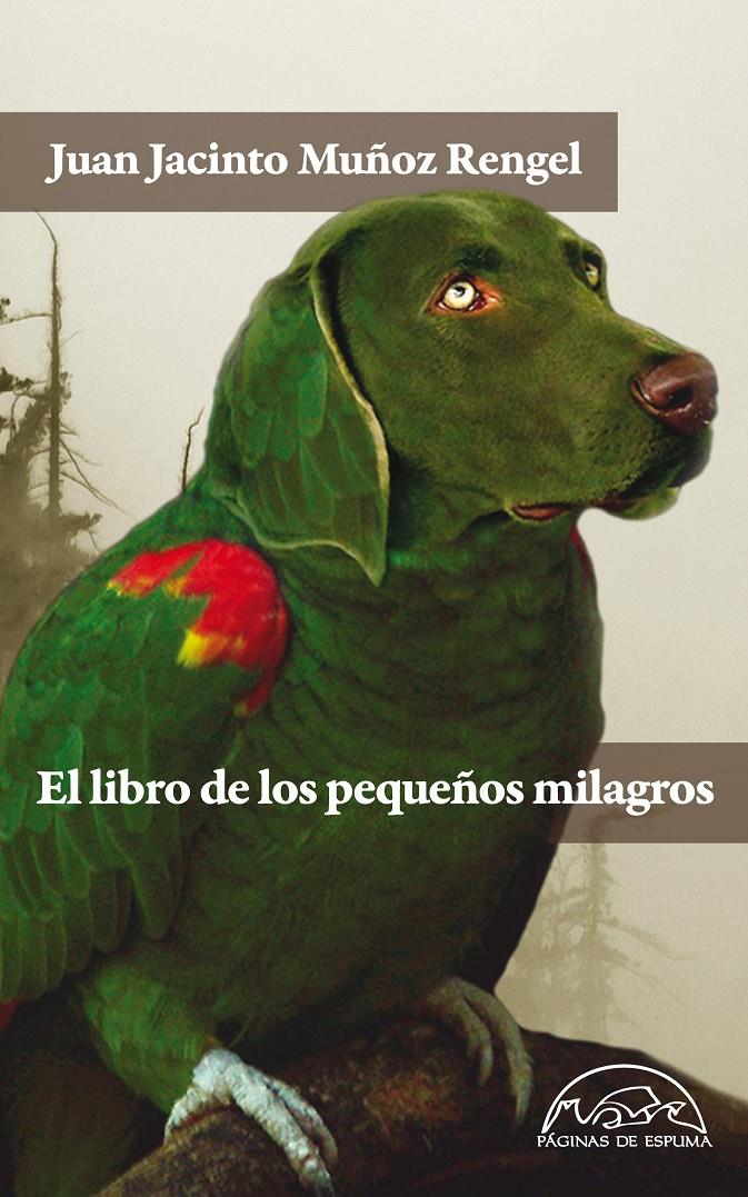 EL LIBRO DE LOS PEQUEÑOS MILAGROS | 9788483931462 | MUÑOZ RENGEL, JUAN JACINTO | Galatea Llibres | Librería online de Reus, Tarragona | Comprar libros en catalán y castellano online
