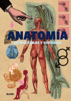 ANATOMÍA | 9791388023286 | VV.AA | Galatea Llibres | Librería online de Reus, Tarragona | Comprar libros en catalán y castellano online