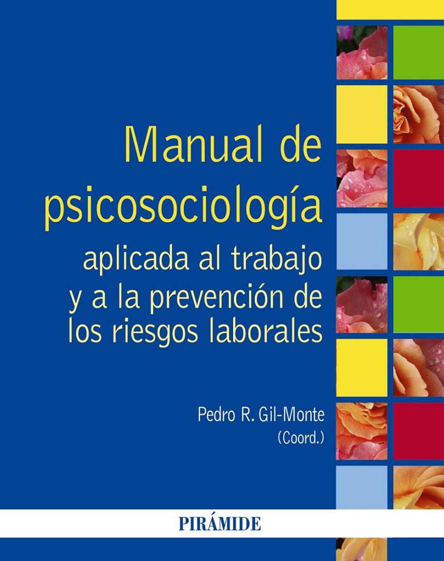 MANUAL DE PSICOSOCIOLOGÍA APLICADA AL TRABAJO Y A LA PREVENCIÓN DE LOS RIESGOS  | 9788436831443 | GIL-MONTE, PEDRO R. | Galatea Llibres | Librería online de Reus, Tarragona | Comprar libros en catalán y castellano online