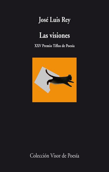 LAS VISIONES | 9788498958164 | REY, JOSE LUIS | Galatea Llibres | Librería online de Reus, Tarragona | Comprar libros en catalán y castellano online