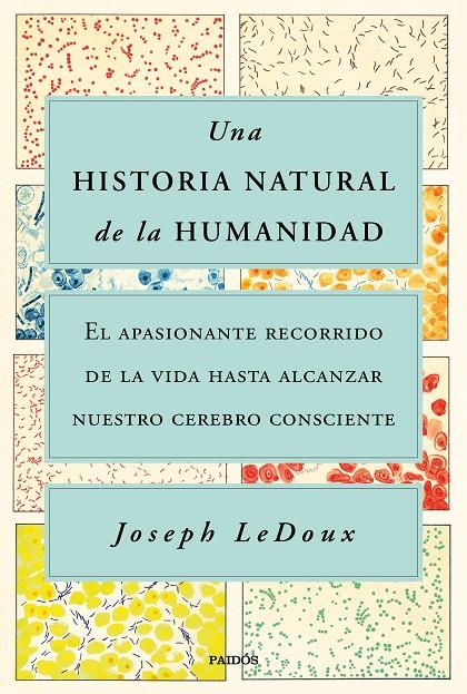 UNA HISTORIA NATURAL DE LA HUMANIDAD | 9788449338274 | LEDOUX, JOSEPH | Galatea Llibres | Librería online de Reus, Tarragona | Comprar libros en catalán y castellano online