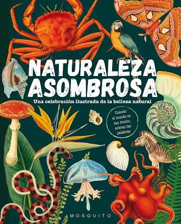 NATURALEZA ASOMBROSA | 9788419095589 | Galatea Llibres | Librería online de Reus, Tarragona | Comprar libros en catalán y castellano online