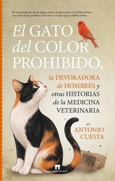 EL GATO DEL COLOR PROHIBIDO, LA DEVORADORA DE HOMBRES Y OTRAS HISTORIAS DE LA ME | 9791387941314 | CUESTA, ANTONIO | Galatea Llibres | Llibreria online de Reus, Tarragona | Comprar llibres en català i castellà online
