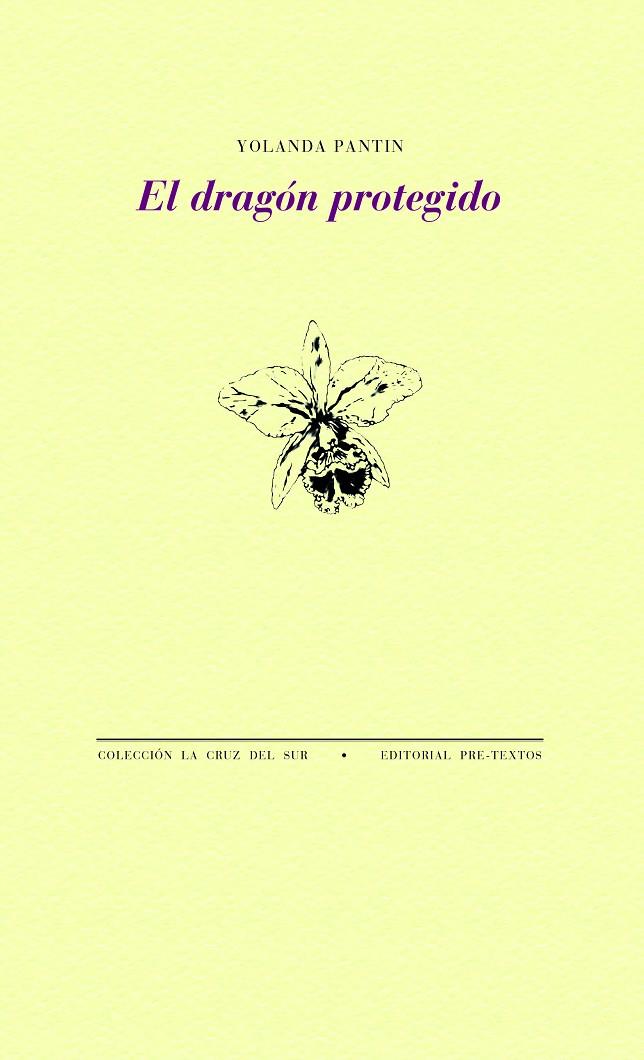 EL DRAGÓN PROTEGIDO | 9788418178788 | PANTIN, YOLANDA | Galatea Llibres | Llibreria online de Reus, Tarragona | Comprar llibres en català i castellà online