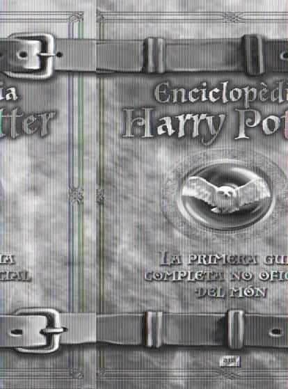 ENCICLOPEDIA HARRY POTTER | 9788496767836 | GRACIA, CARLA | Galatea Llibres | Llibreria online de Reus, Tarragona | Comprar llibres en català i castellà online