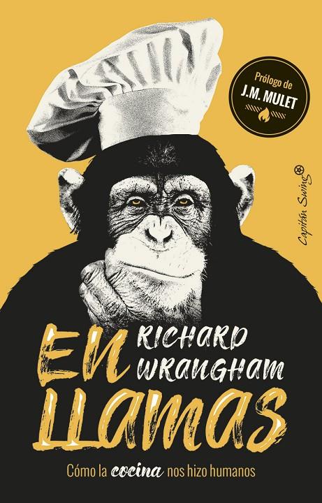 EN LLAMAS | 9788494966873 | WRANGHAM, RICHARD | Galatea Llibres | Llibreria online de Reus, Tarragona | Comprar llibres en català i castellà online