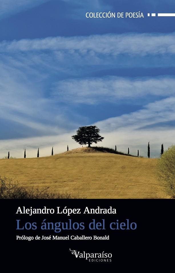 LOS ÁNGULOS DEL CIELO | 9788494268571 | LÓPEZ ANDRADA, ALEJANDRO | Galatea Llibres | Llibreria online de Reus, Tarragona | Comprar llibres en català i castellà online