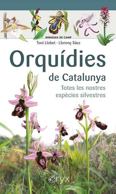 ORQUÍDIES DE CATALUNYA | 9788413560403 | SÀEZ GOÑALONS, LLORENÇ/LLOBET FRANÇOIS, TONI | Galatea Llibres | Llibreria online de Reus, Tarragona | Comprar llibres en català i castellà online