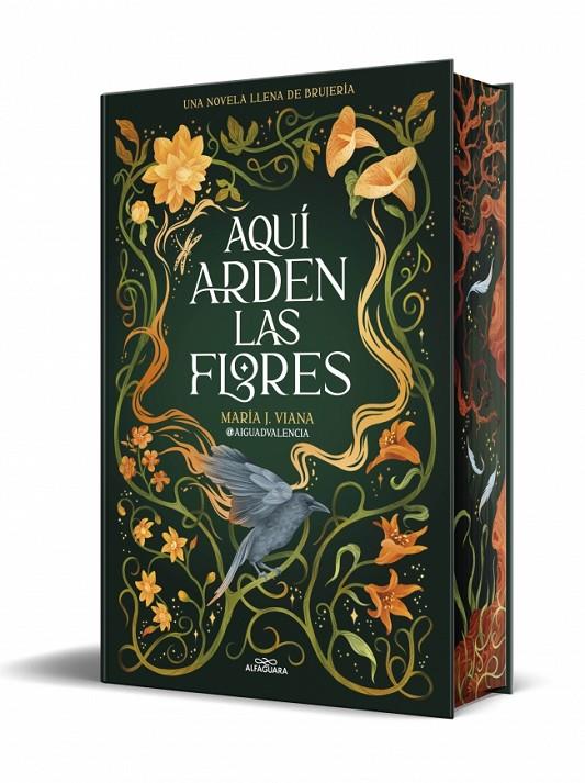 AQUÍ ARDEN LAS FLORES | 9791387741662 | @AIGUADVALENCIA | Galatea Llibres | Llibreria online de Reus, Tarragona | Comprar llibres en català i castellà online