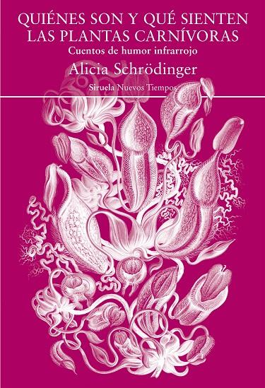 QUIÉNES SON Y QUÉ SIENTEN LAS PLANTAS CARNÍVORAS | 9788418245534 | SCHRÖDINGER, ALICIA | Galatea Llibres | Llibreria online de Reus, Tarragona | Comprar llibres en català i castellà online