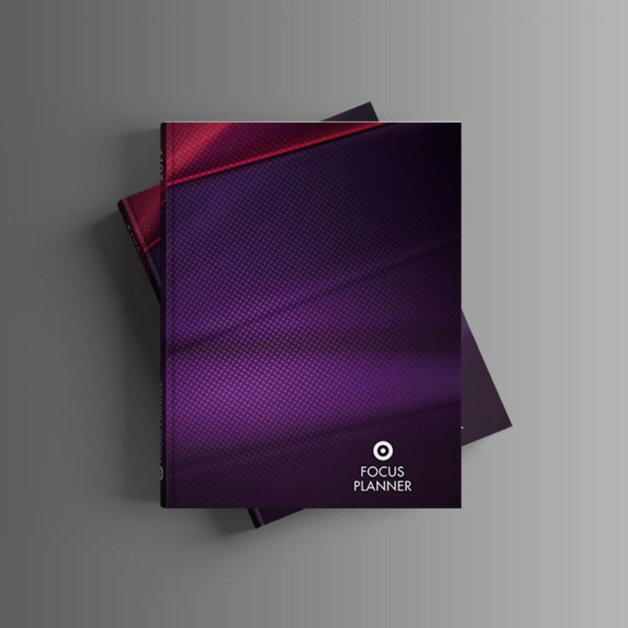 FOCUS PLANNER AERO | 9788494797743 | VICEDO MENDIOLA, JOSÉ MARÍA/GUILLÓ VERGARA, MIGUEL ÁNGEL | Galatea Llibres | Llibreria online de Reus, Tarragona | Comprar llibres en català i castellà online