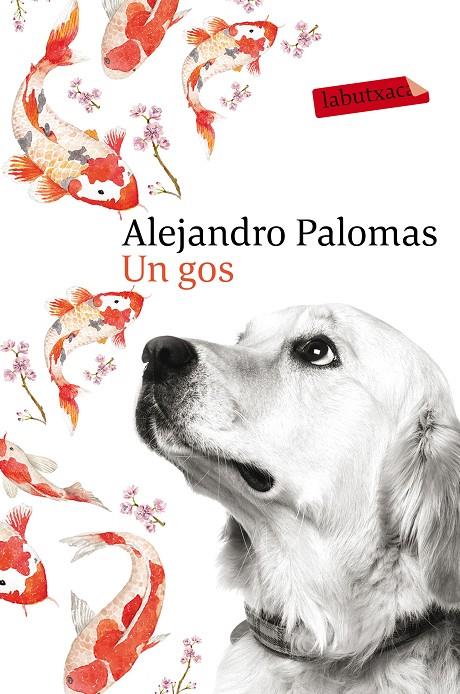 UN GOS | 9788416600625 | PALOMAS, ALEJANDRO | Galatea Llibres | Llibreria online de Reus, Tarragona | Comprar llibres en català i castellà online
