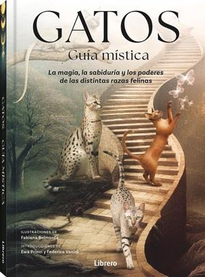 GATOS GUIA MISTICA | 9789464992007 | BELMONTE, FABIANA | Galatea Llibres | Librería online de Reus, Tarragona | Comprar libros en catalán y castellano online