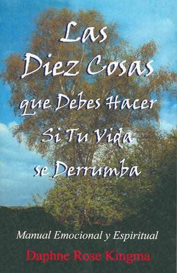 LAS DIEZ COSAS QUE DEBES HACER SI TU VIDA SE DERRUMBA | 9788495593702 | ROSE KINGMA,DAPHNE | Galatea Llibres | Librería online de Reus, Tarragona | Comprar libros en catalán y castellano online