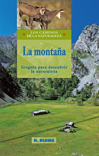 MONTAÑA, LA | 9788489840324 | AAVV | Galatea Llibres | Librería online de Reus, Tarragona | Comprar libros en catalán y castellano online