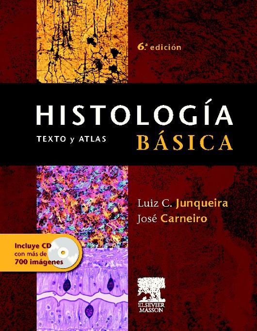 HISTOLOGIA BASICA TEXTO Y ATLAS | 9788445814628 | JUNQUEIRA, LUIZ | Galatea Llibres | Llibreria online de Reus, Tarragona | Comprar llibres en català i castellà online
