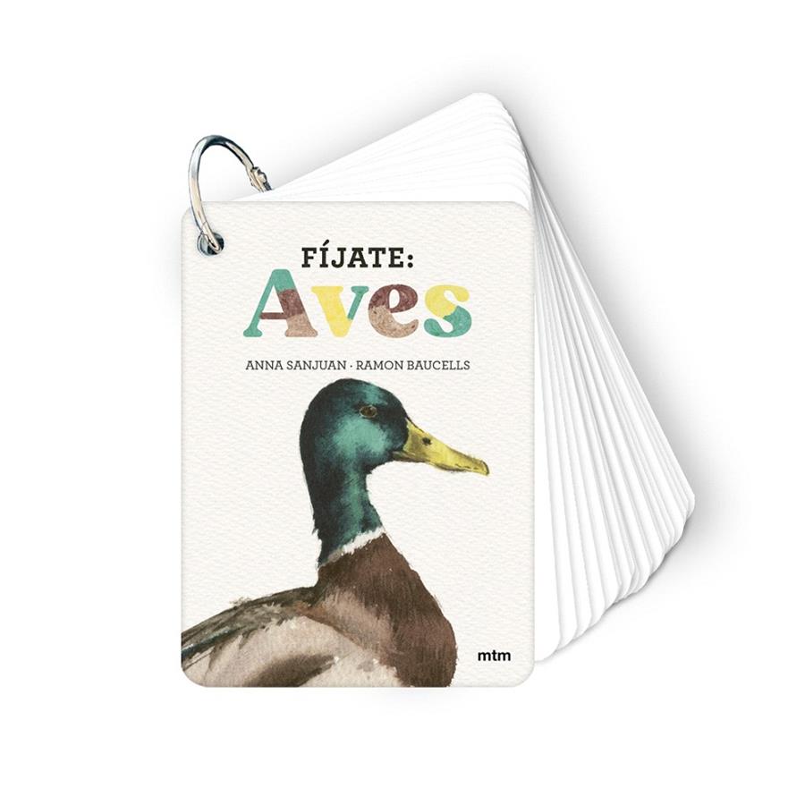 FÍJATE: AVES | 9788410407633 | SANJUAN LLORENS, ANNA/BAUCELLS COLOMER, RAMON | Galatea Llibres | Llibreria online de Reus, Tarragona | Comprar llibres en català i castellà online