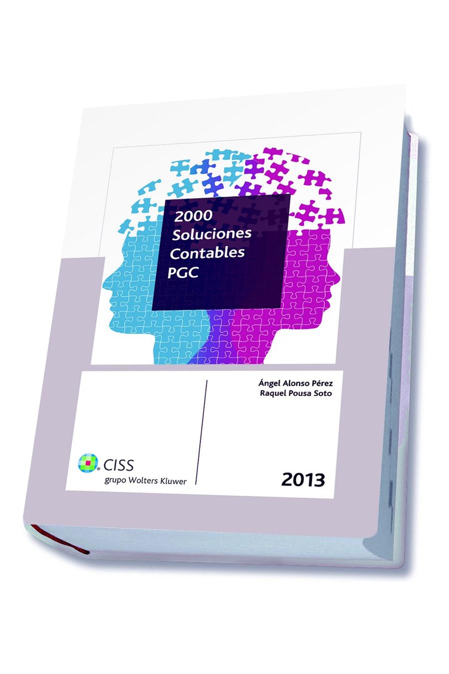 2000 SOLUCIONES CONTABLES PGC 2013 | 9788499545417 | ALONSO PÉREZ, ÁNGEL/POUSA SOTO, RAQUEL | Galatea Llibres | Librería online de Reus, Tarragona | Comprar libros en catalán y castellano online