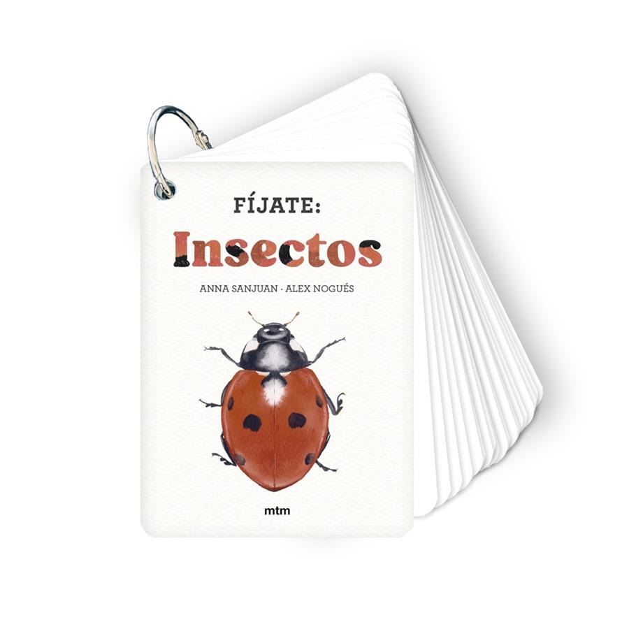 FÍJATE: INSECTOS | 9788410407183 | SANJUAN LLORENS, ANNA/NOGUÉS, ALEX | Galatea Llibres | Librería online de Reus, Tarragona | Comprar libros en catalán y castellano online