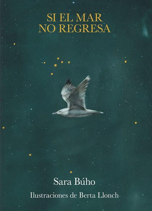 SI EL MAR NO REGRESA | 9791387761639 | BÚHO, SARA/LLONCH, BERTA | Galatea Llibres | Librería online de Reus, Tarragona | Comprar libros en catalán y castellano online