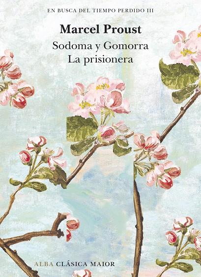 EN BUSCA DEL TIEMPO PERDIDO III | 9788411781602 | PROUST, MARCEL | Galatea Llibres | Librería online de Reus, Tarragona | Comprar libros en catalán y castellano online