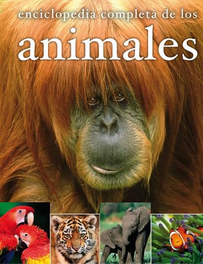 ENCICLOPEDIA DE LOS ANIMALES | 9788467535563 | VARIOS AUTORES, | Galatea Llibres | Librería online de Reus, Tarragona | Comprar libros en catalán y castellano online