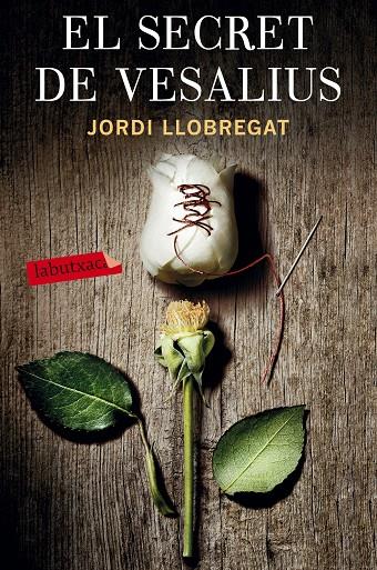 EL SECRET DE VESALIUS | 9788416600366 | LLOBREGAT, JORDI | Galatea Llibres | Librería online de Reus, Tarragona | Comprar libros en catalán y castellano online
