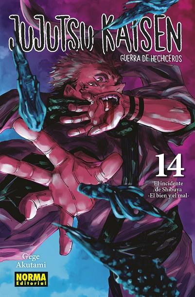 JUJUTSU KAISEN 14 | 9788467966909 | AKUTAMI, GEGE | Galatea Llibres | Llibreria online de Reus, Tarragona | Comprar llibres en català i castellà online