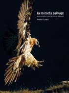 MIRADA SALVAJE, LA | 9788498012286 | CANELA, ANDONI | Galatea Llibres | Librería online de Reus, Tarragona | Comprar libros en catalán y castellano online