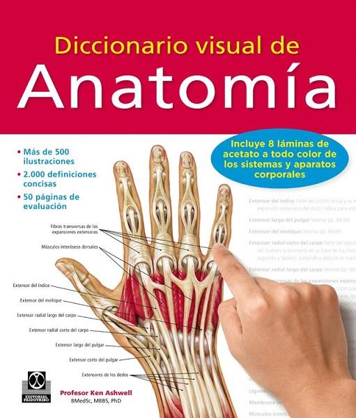 DICCIONARIO VISUAL DE ANATOMÍA | 9788499104522 | ASHWELL, KEN | Galatea Llibres | Llibreria online de Reus, Tarragona | Comprar llibres en català i castellà online