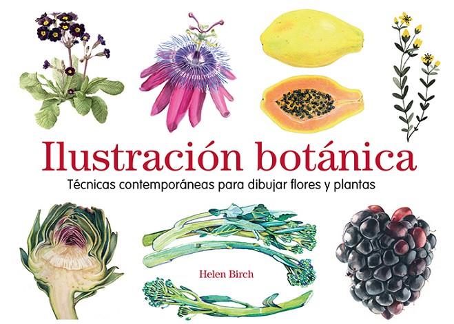 ILUSTRACIÓN BOTÁNICA | 9788425231841 | BIRCH, HELEN | Galatea Llibres | Librería online de Reus, Tarragona | Comprar libros en catalán y castellano online