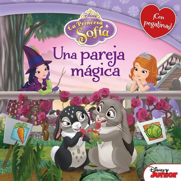 LA PRINCESA SOFÍA. UNA PAREJA MÁGICA | 9788499516561 | Galatea Llibres | Librería online de Reus, Tarragona | Comprar libros en catalán y castellano online