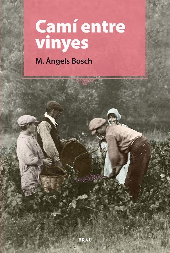 CAMÍ ENTRE VINYES | 9788496905924 | BOSCH CASTELLÓ, M. ÀNGELS | Galatea Llibres | Librería online de Reus, Tarragona | Comprar libros en catalán y castellano online