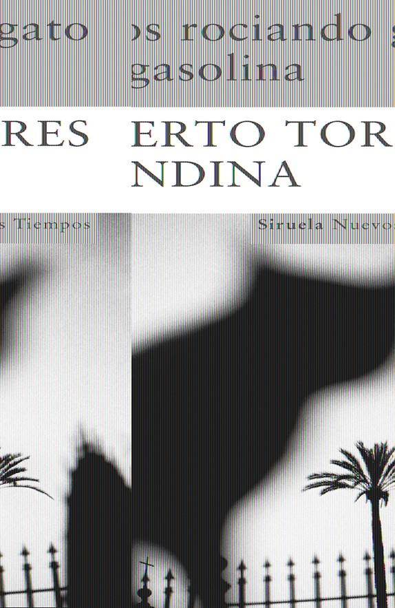 NIÑOS ROCIANDO GATO CON GASOLINA | 9788498412819 | TORRES, ALBERTO | Galatea Llibres | Librería online de Reus, Tarragona | Comprar libros en catalán y castellano online
