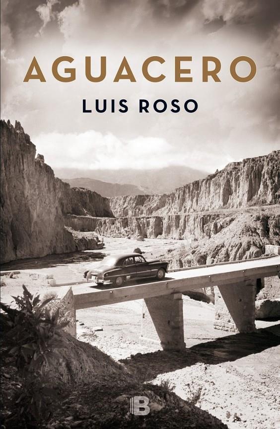 AGUACERO | 9788466659215 | ROSO, LUIS | Galatea Llibres | Librería online de Reus, Tarragona | Comprar libros en catalán y castellano online